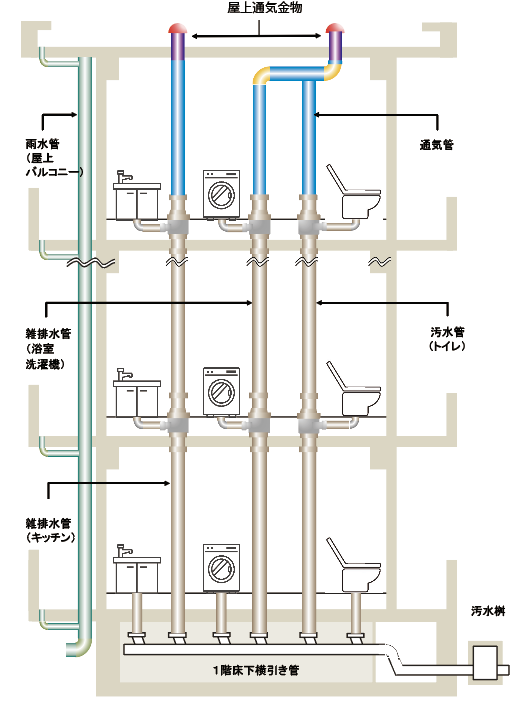 ●排水設備は「専有部」から「共有部」まで全てつながり機能している
