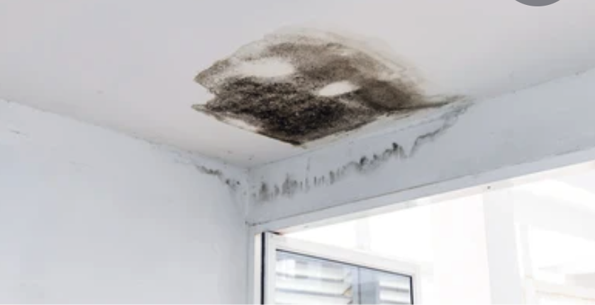 ●早い段階での調査がトラブルを防ぐ